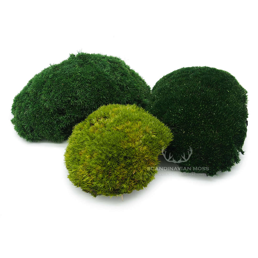Mech poduszkowy szwedzki jasny, średni i ciemny zielony