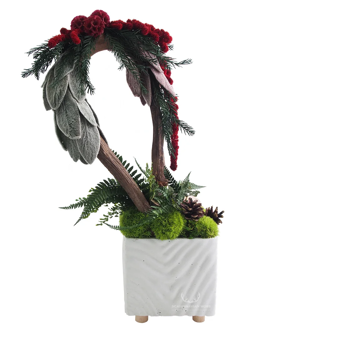 Dekoracja świąteczna z mchu i roślin stabilizowanych w doniczce