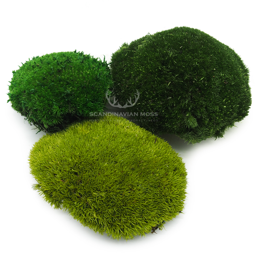 mech poduszkowy szwedzki, 3 kolory - jasny zielony, zielony, ciemny zielony